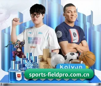 开云体育平台 APP
