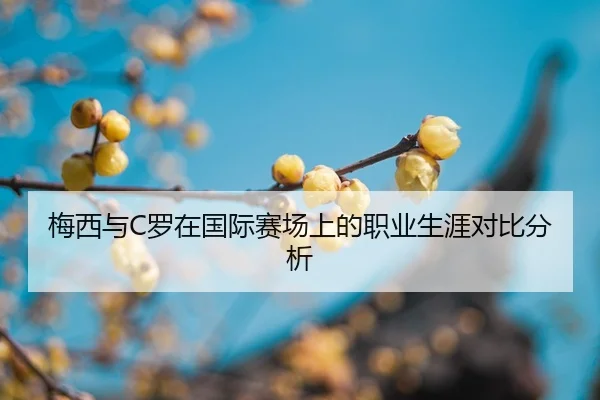 mei-xi-yu-luo-zai-guo-ji-sai-chang-shang-de-zhi-ye-sheng-ya-dui-bi-fen-xi-2-479.jpg