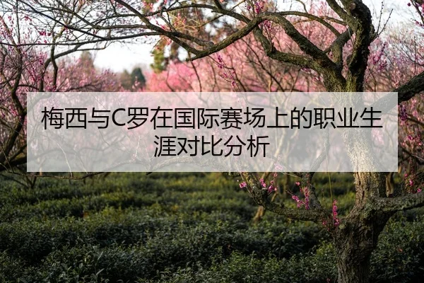 梅西与C罗在国际赛场上的职业生涯对比分析