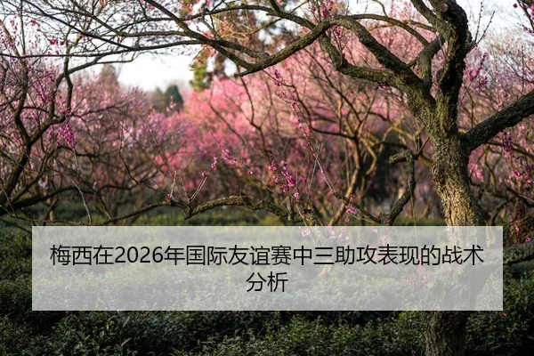 梅西在2026年国际友谊赛中三助攻表现的战术分析