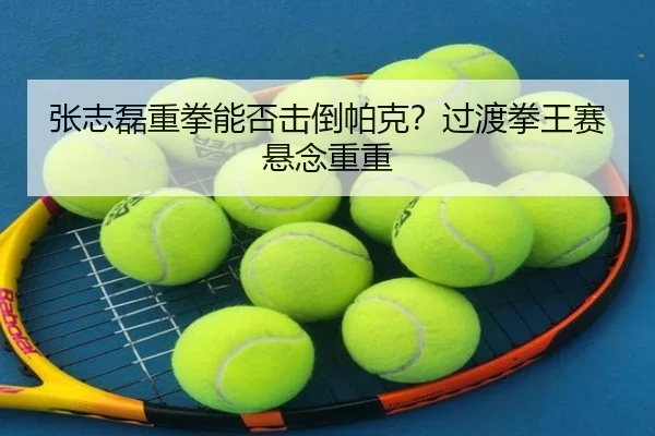 张志磊重拳能否击倒帕克？过渡拳王赛悬念重重