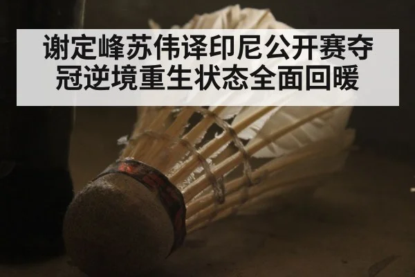 谢定峰苏伟译印尼公开赛夺冠逆境重生状态全面回暖
