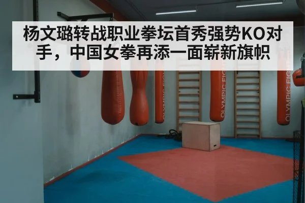 杨文璐转战职业拳坛首秀强势KO对手，中国女拳再添一面崭新旗帜